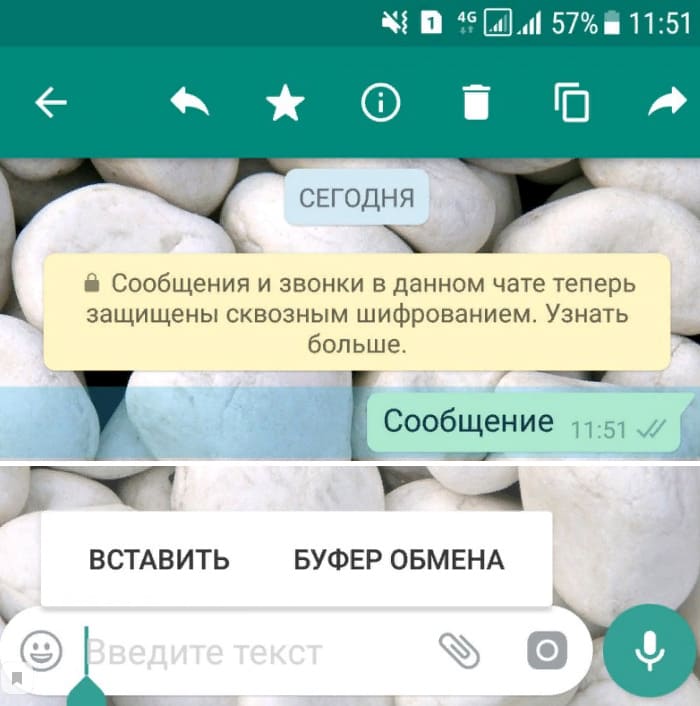 Як скопіювати текст у Ватсапі: докладна інструкція для Андроїда та Айфона з копіювання та надсилання частини тексту повідомлення