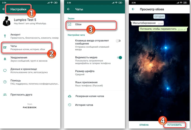 Теми для Ватсап: як зробити чорну тему на андроїд-смартфоні або айфоні, темні шпалери, зміна кольору повідомлень