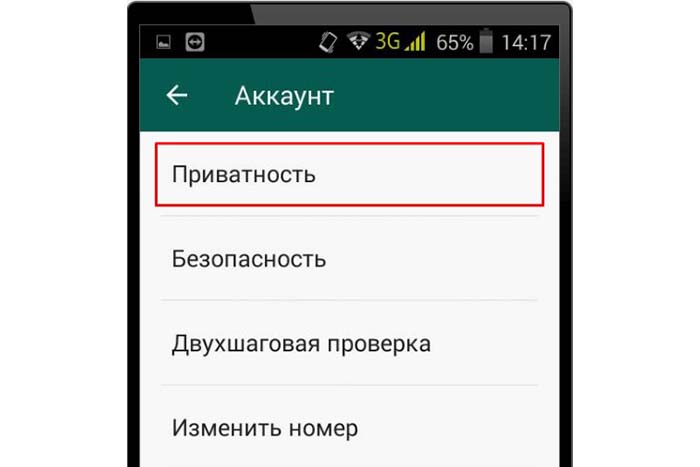 Конфіденційність у Ватсапі: відомості про політику месенджера, налаштування приватності та як включити на айфон та андроїд