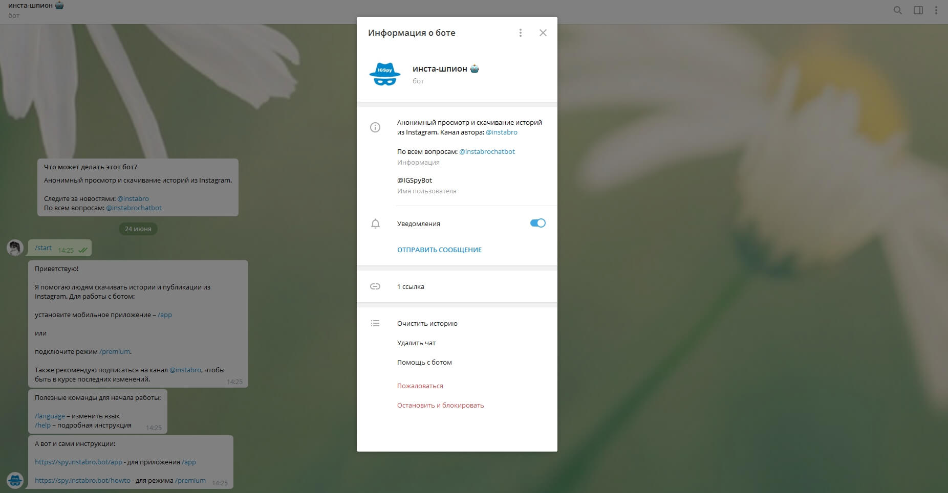 Як дивитися історії в інстаграм анонімно