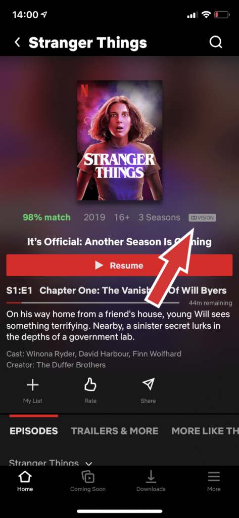 Все про Netflix. Що це за додаток і чи варто його купувати?
