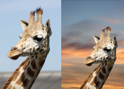 Видалення фону у Photoshop. 6 простих кроків
