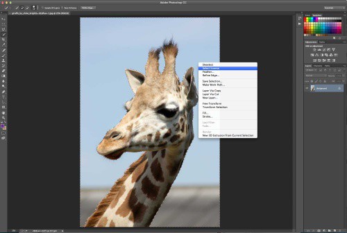 Видалення фону у Photoshop. 6 простих кроків