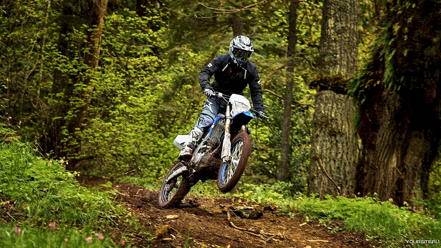 Yamaha wr250f