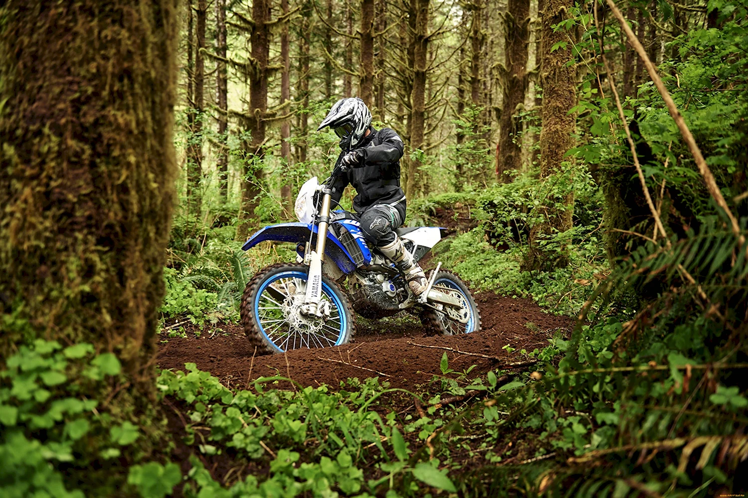 Yamaha Хард эндуро