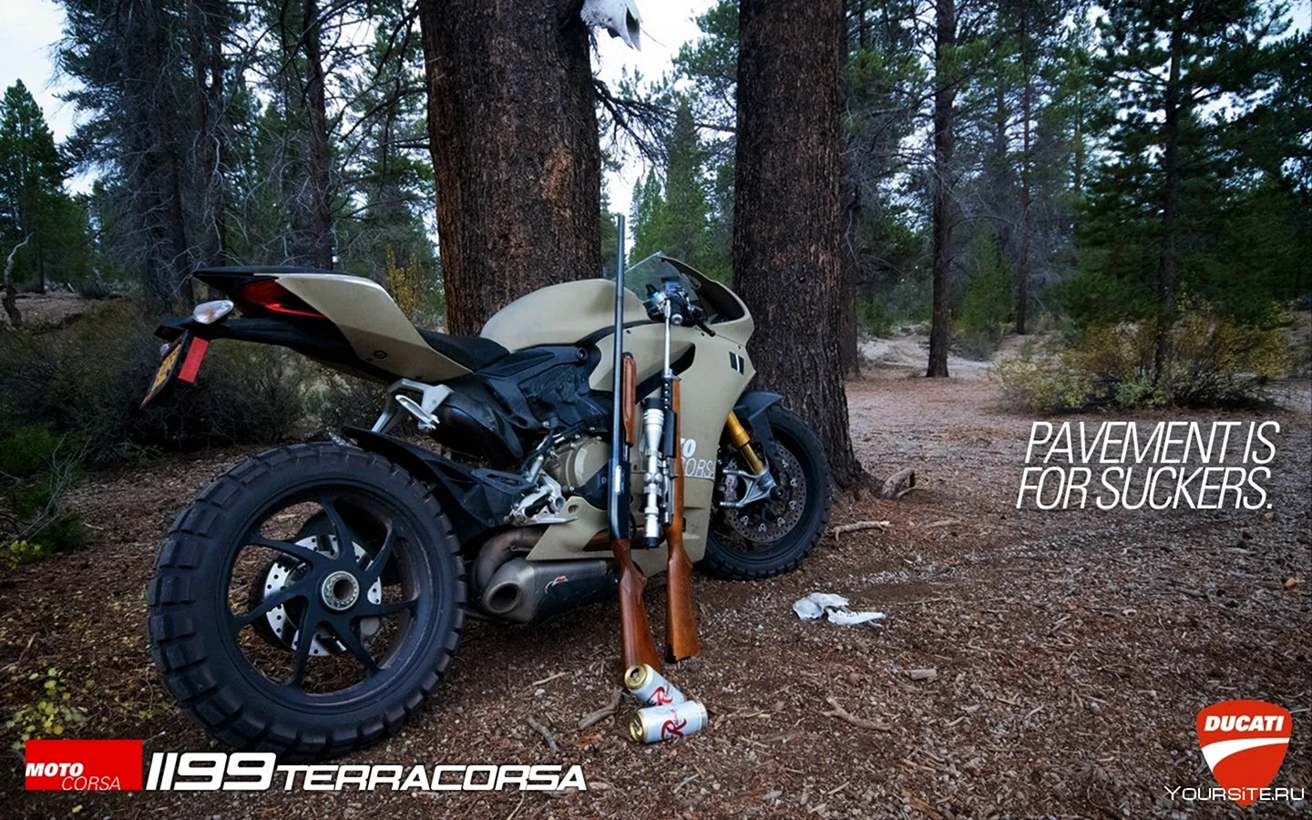 Ducati TERRACORSA